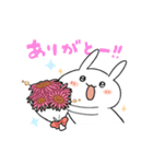 わが家のうささん（個別スタンプ：4）