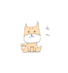 柴犬のイヌ（個別スタンプ：1）