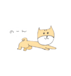 柴犬のイヌ（個別スタンプ：4）