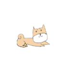 柴犬のイヌ（個別スタンプ：6）