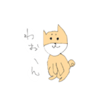 柴犬のイヌ（個別スタンプ：7）