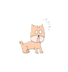柴犬のイヌ（個別スタンプ：8）