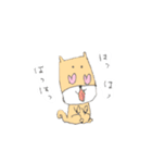 柴犬のイヌ（個別スタンプ：9）