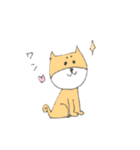 柴犬のイヌ（個別スタンプ：10）