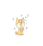 柴犬のイヌ（個別スタンプ：11）