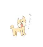 柴犬のイヌ（個別スタンプ：12）
