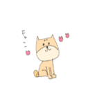 柴犬のイヌ（個別スタンプ：13）