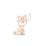 柴犬のイヌ（個別スタンプ：14）