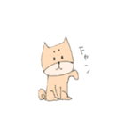 柴犬のイヌ（個別スタンプ：15）