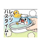 ちいさめ 33（ちいさめの一日）（個別スタンプ：37）
