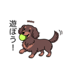 名前入りダックスロングチョコタン（個別スタンプ：1）