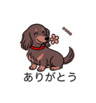 名前入りダックスロングチョコタン（個別スタンプ：5）