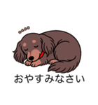 名前入りダックスロングチョコタン（個別スタンプ：9）