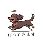 名前入りダックスロングチョコタン（個別スタンプ：13）