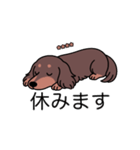 名前入りダックスロングチョコタン（個別スタンプ：16）