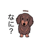 名前入りダックスロングチョコタン（個別スタンプ：22）