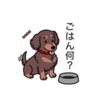 名前入りダックスロングチョコタン（個別スタンプ：24）