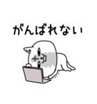 じろりねこ仕事中に使えるよぅ（個別スタンプ：12）
