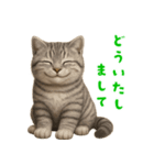ぬいぐるみサバトラ猫【毎日使える】（個別スタンプ：7）