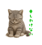 ぬいぐるみサバトラ猫【毎日使える】（個別スタンプ：8）