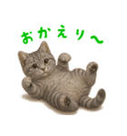 ぬいぐるみサバトラ猫【毎日使える】（個別スタンプ：10）