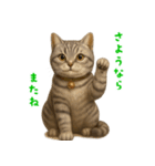 ぬいぐるみサバトラ猫【毎日使える】（個別スタンプ：11）