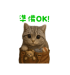 ぬいぐるみサバトラ猫【毎日使える】（個別スタンプ：21）