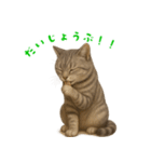 ぬいぐるみサバトラ猫【毎日使える】（個別スタンプ：24）