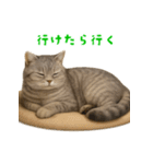 ぬいぐるみサバトラ猫【毎日使える】（個別スタンプ：29）