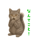 ぬいぐるみサバトラ猫【毎日使える】（個別スタンプ：36）