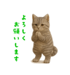 ぬいぐるみサバトラ猫【毎日使える】（個別スタンプ：39）