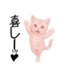 推し猫【桃】……………..（個別スタンプ：6）