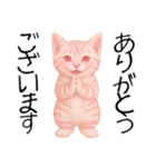推し猫【桃】……………..（個別スタンプ：10）