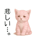 推し猫【桃】……………..（個別スタンプ：32）