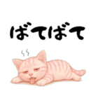 推し猫【桃】……………..（個別スタンプ：37）