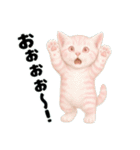 推し猫【桃】……………..（個別スタンプ：40）