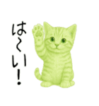 推し猫【緑】…（個別スタンプ：11）