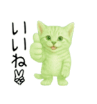 推し猫【緑】…（個別スタンプ：13）