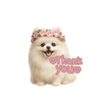 きょんももひなまり♥もものスタンプ（個別スタンプ：1）