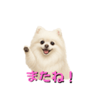 きょんももひなまり♥もものスタンプ（個別スタンプ：3）