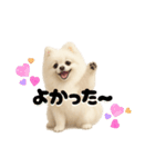 きょんももひなまり♥もものスタンプ（個別スタンプ：5）