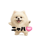 きょんももひなまり♥もものスタンプ（個別スタンプ：9）