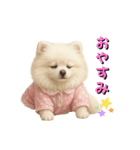 きょんももひなまり♥もものスタンプ（個別スタンプ：12）