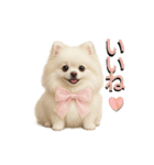 きょんももひなまり♥もものスタンプ（個別スタンプ：17）