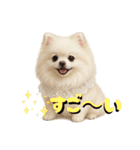 きょんももひなまり♥もものスタンプ（個別スタンプ：18）
