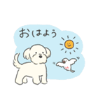 ふわふわ♡マルチーズ スタンプ（個別スタンプ：1）