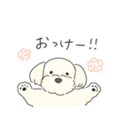 ふわふわ♡マルチーズ スタンプ（個別スタンプ：2）