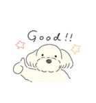 ふわふわ♡マルチーズ スタンプ（個別スタンプ：4）
