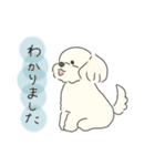 ふわふわ♡マルチーズ スタンプ（個別スタンプ：5）