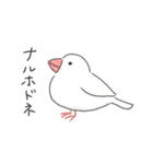 ふわふわ♡マルチーズ スタンプ（個別スタンプ：6）